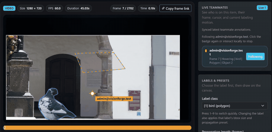 FramePin collaboration demo showing two teammates reviewing the same video item